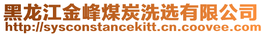黑龍江金峰煤炭洗選有限公司