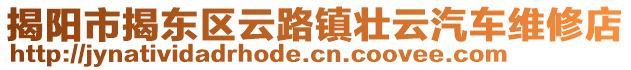 揭陽市揭東區(qū)云路鎮(zhèn)壯云汽車維修店