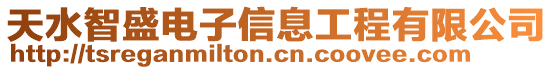 天水智盛電子信息工程有限公司