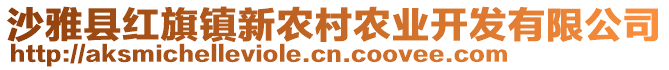 沙雅縣紅旗鎮(zhèn)新農村農業(yè)開發(fā)有限公司