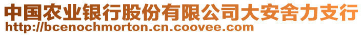 中國農業(yè)銀行股份有限公司大安舍力支行