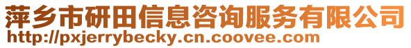 萍鄉(xiāng)市研田信息咨詢服務(wù)有限公司