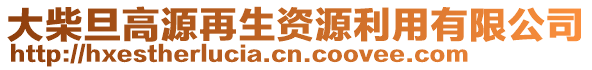 大柴旦高源再生資源利用有限公司