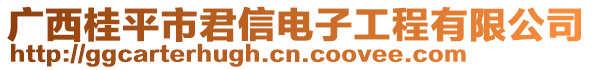 廣西桂平市君信電子工程有限公司