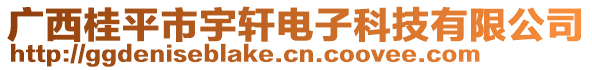 廣西桂平市宇軒電子科技有限公司