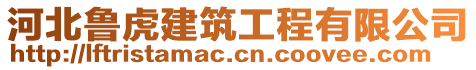 河北魯虎建筑工程有限公司