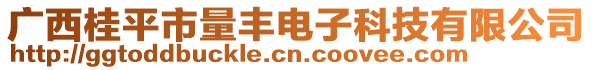 廣西桂平市量豐電子科技有限公司