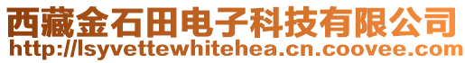 西藏金石田電子科技有限公司