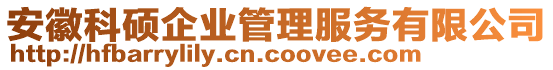 安徽科碩企業(yè)管理服務有限公司