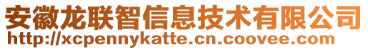 安徽龍聯(lián)智信息技術(shù)有限公司