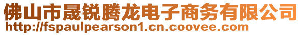 佛山市晟銳騰龍電子商務有限公司