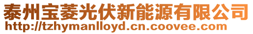 泰州寶菱光伏新能源有限公司