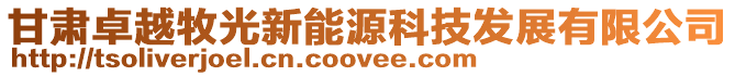 甘肅卓越牧光新能源科技發展有限公司