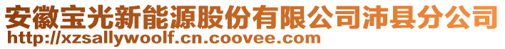 安徽寶光新能源股份有限公司沛縣分公司