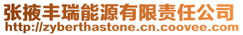 張掖豐瑞能源有限責(zé)任公司