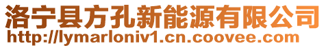 洛寧縣方孔新能源有限公司