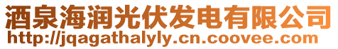 酒泉海潤光伏發電有限公司