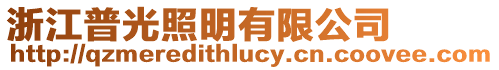 浙江普光照明有限公司