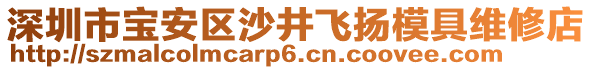 深圳市寶安區沙井飛揚模具維修店