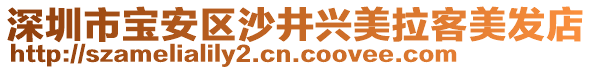 深圳市寶安區(qū)沙井興美拉客美發(fā)店