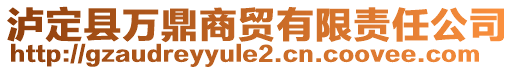 瀘定縣萬(wàn)鼎商貿(mào)有限責(zé)任公司