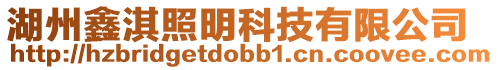 湖州鑫淇照明科技有限公司