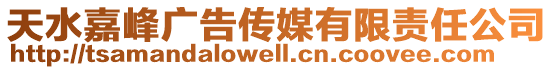 天水嘉峰廣告?zhèn)髅接邢挢?zé)任公司