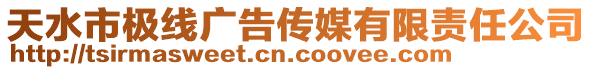 天水市極線廣告?zhèn)髅接邢挢?zé)任公司