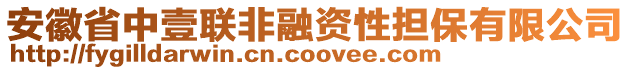 安徽省中壹聯(lián)非融資性擔(dān)保有限公司