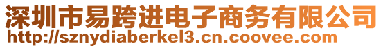 深圳市易跨進電子商務有限公司