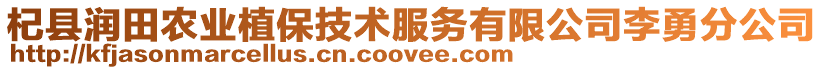 杞縣潤田農業植保技術服務有限公司李勇分公司