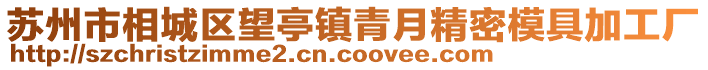 蘇州市相城區望亭鎮青月精密模具加工廠