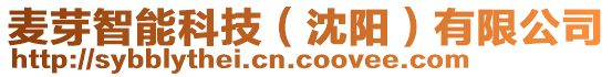 麥芽智能科技(沈陽)有限公司