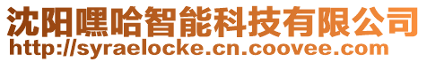 沈陽嘿哈智能科技有限公司