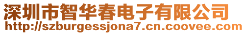 深圳市智華春電子有限公司