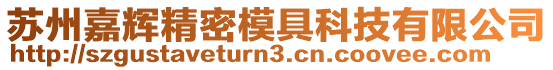 蘇州嘉輝精密模具科技有限公司