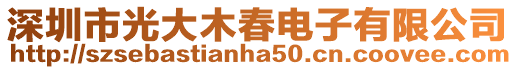深圳市光大木春電子有限公司