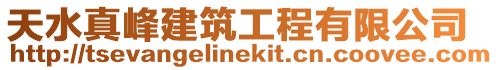 天水真峰建筑工程有限公司