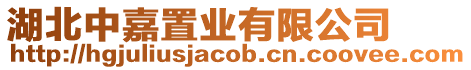 湖北中嘉置業有限公司