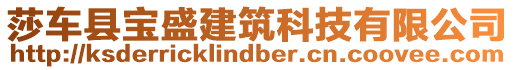 莎車(chē)縣寶盛建筑科技有限公司