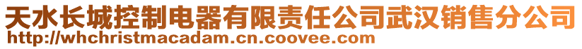 天水長城控制電器有限責任公司武漢銷售分公司