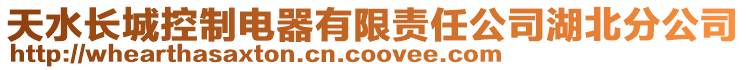 天水長城控制電器有限責任公司湖北分公司