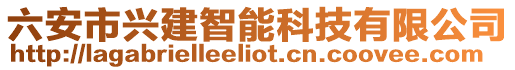 六安市興建智能科技有限公司