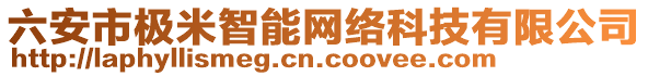 六安市極米智能網(wǎng)絡(luò)科技有限公司