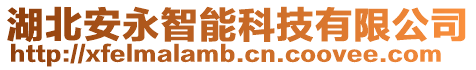 湖北安永智能科技有限公司