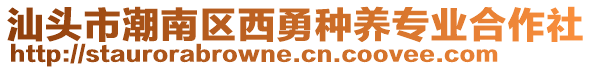 汕頭市潮南區(qū)西勇種養(yǎng)專業(yè)合作社