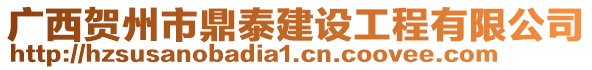 廣西賀州市鼎泰建設(shè)工程有限公司