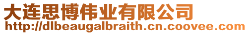 大連思博偉業(yè)有限公司