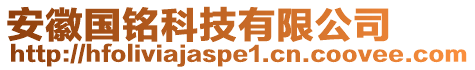 安徽國(guó)銘科技有限公司