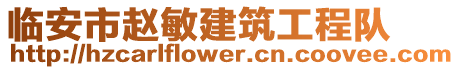 臨安市趙敏建筑工程隊